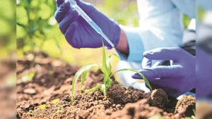 Greater Investment in Agricultural Research Essential for India’s Long-Term Growth and Food Security