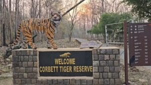 Corbett National Park Turns 90: A Glorious Conservation Journey and the Challenges Ahead