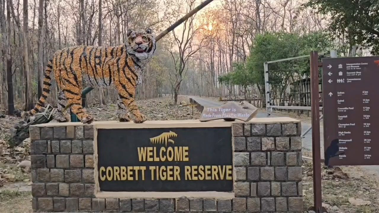 Corbett National Park Turns 90: A Glorious Conservation Journey and the Challenges Ahead